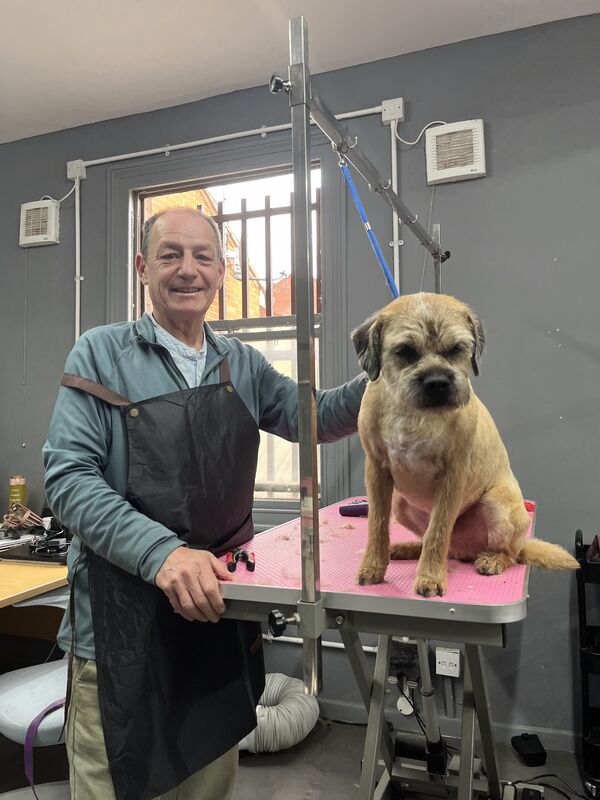 Keith finishing a border terrier groom in the home salon