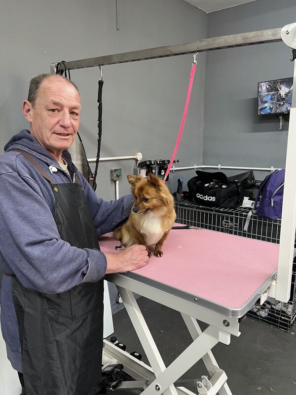 Keith with a chihuahua, gently doing a small-dog tidy
