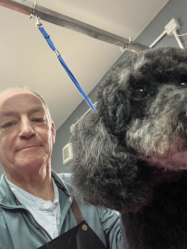 Keith with a freshly-groomed grey schnauzer in the home salon