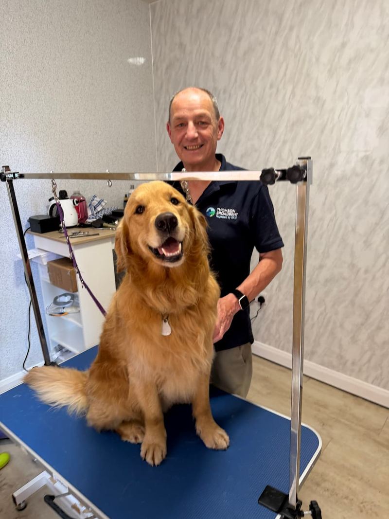 Golden Retriever after a full groom on the table in Keith's K9 Care home salon, Castle Meadows WF4